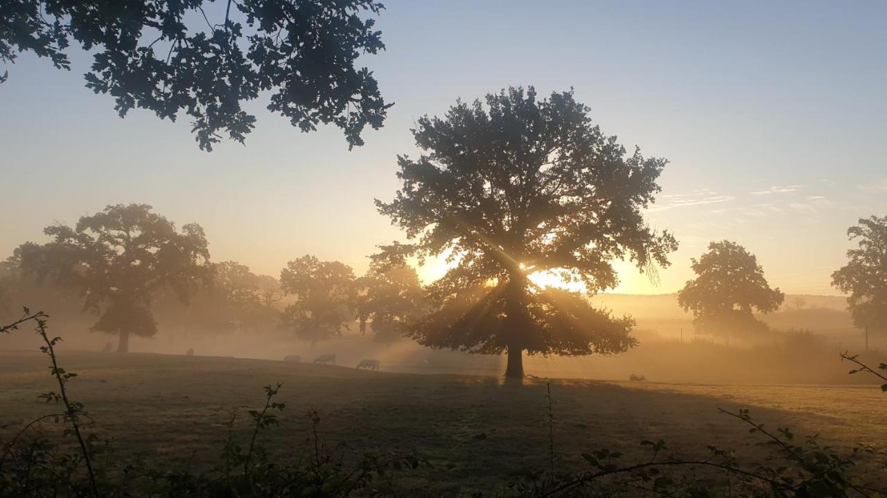 Glamping Les Arbres, Luxe Safaritent met zwembad Cronat Exterior foto